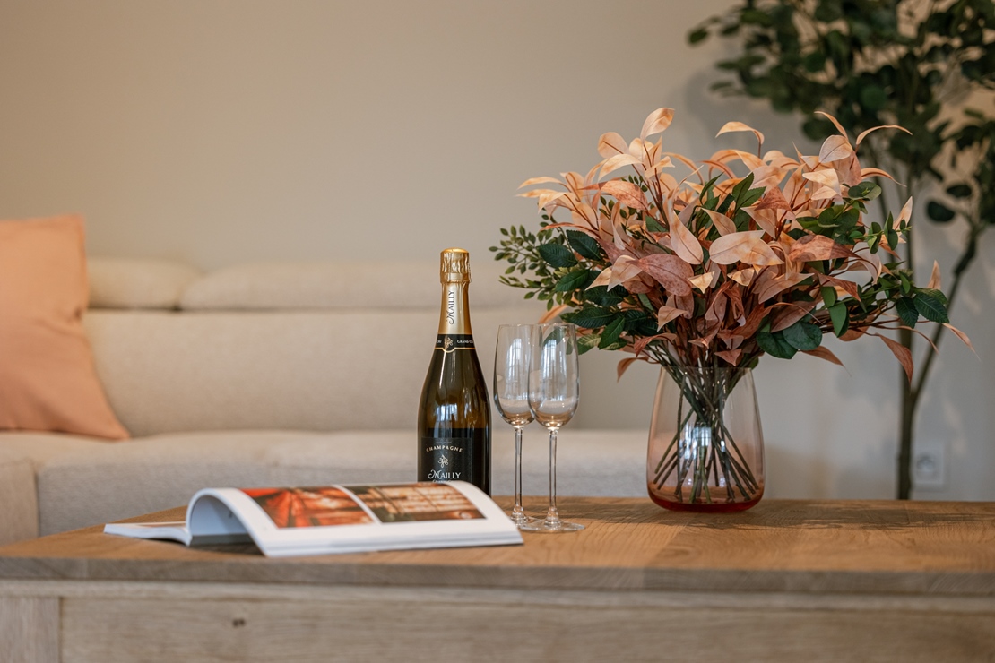 Residentie Opera - vakantie appartement in De Panne